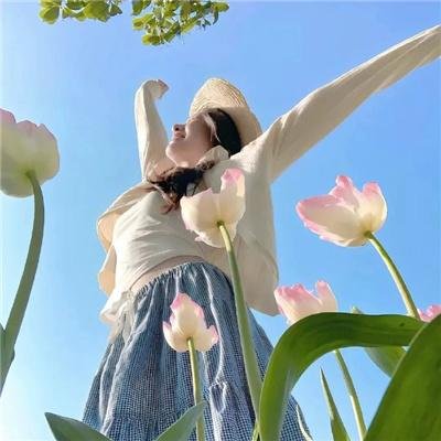 超级无敌掌门狗：月球野餐记